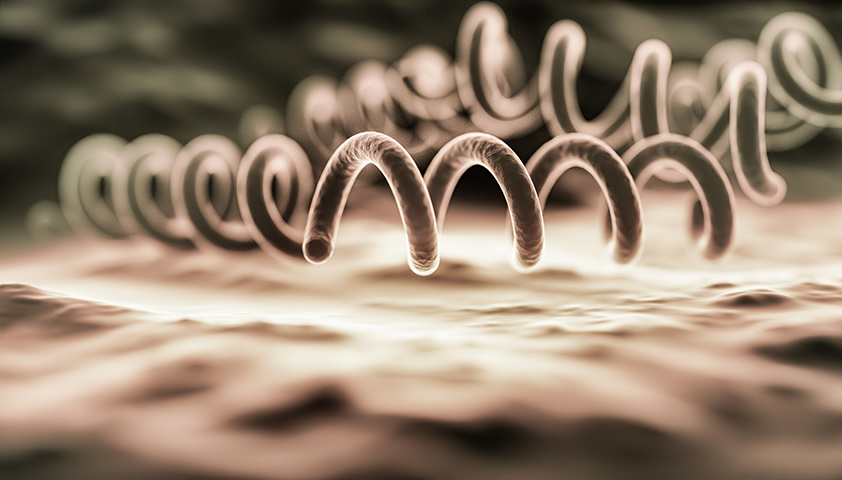 Лечение сифилиса