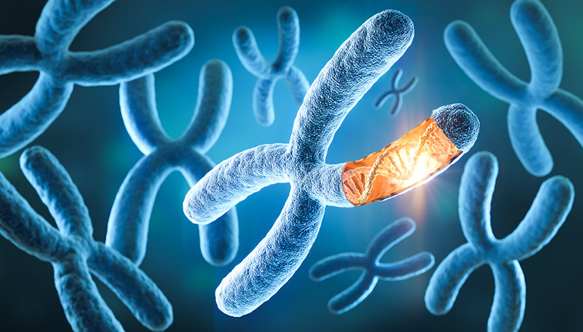 Age-related changes and risk of chromosomal incompetence in human oocytes (literature review)