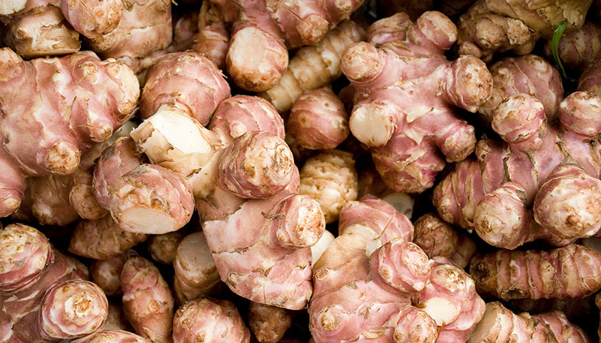 Топинамбур: польза и вред для организма