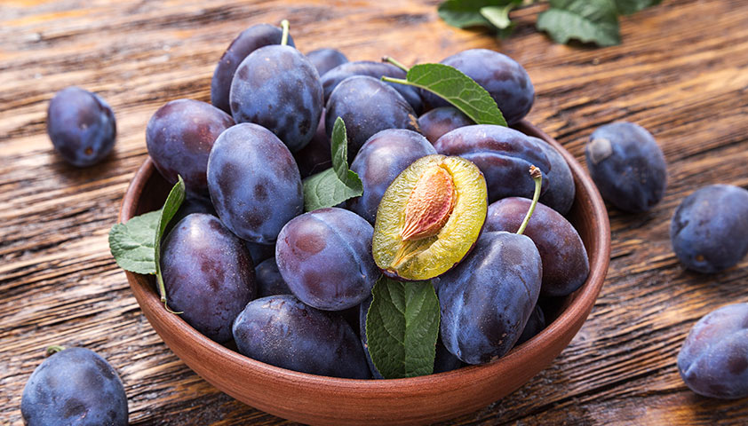 Слива: польза и вред для организма