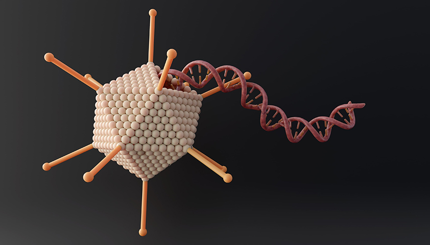 Аденовирус