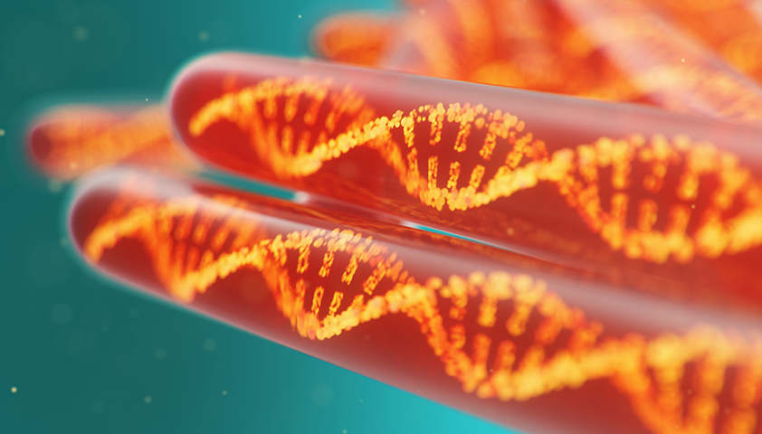 НИПТ в определении дизиготной и монозиготной беременности