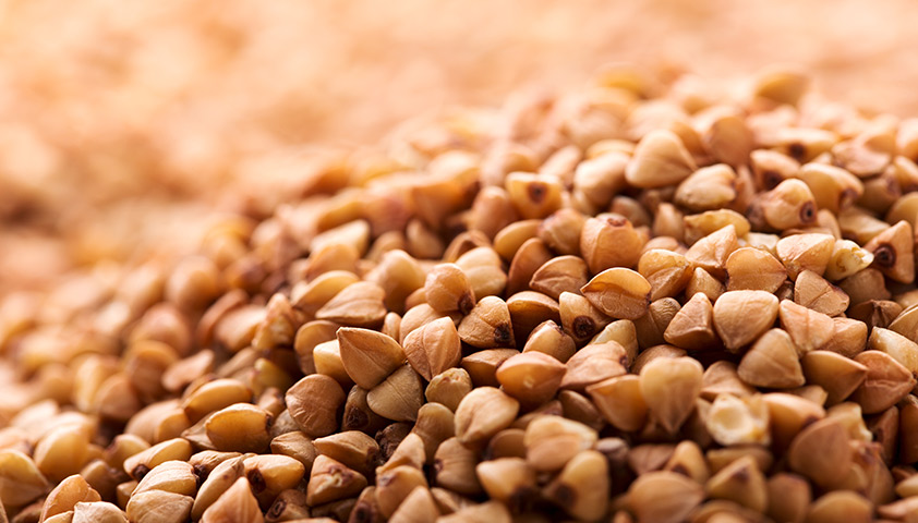 Гречка: польза и вред для здоровья