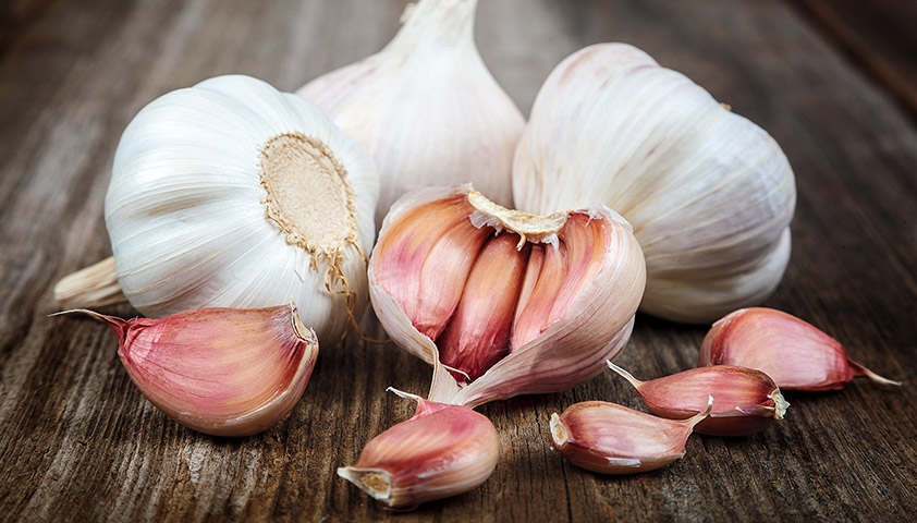 Чеснок: польза и вред для организма