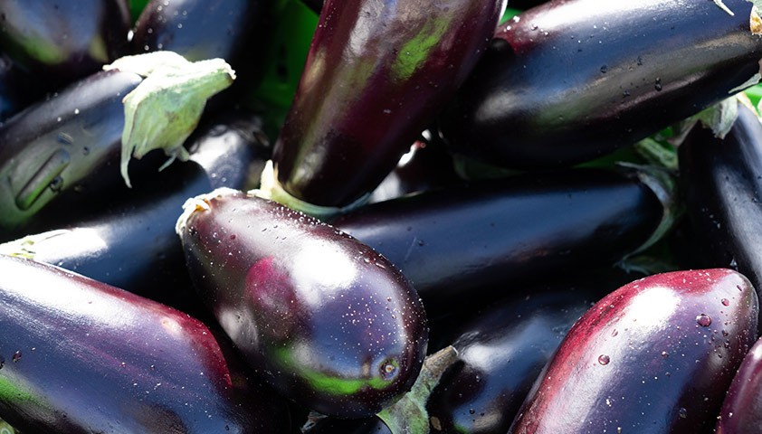 Баклажан: польза и вред для организма