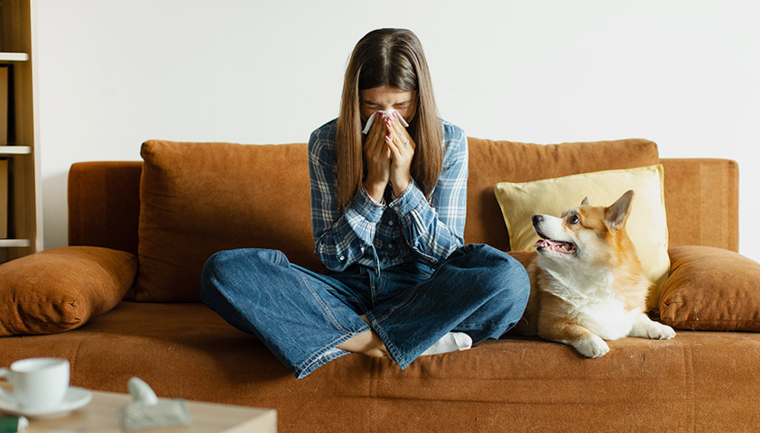Аллергия на животных