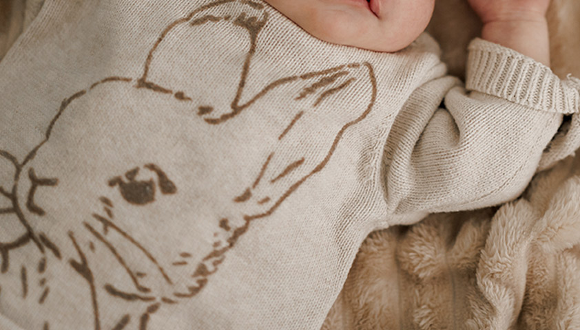 Заячья губа