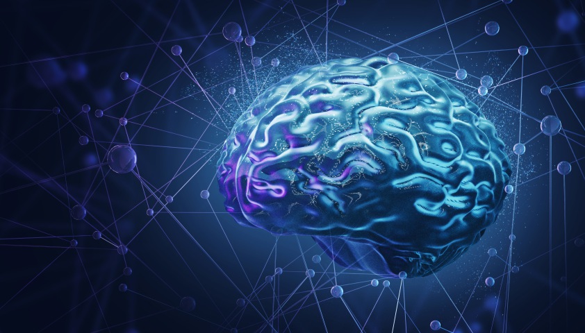 Аминокислоты и мозг