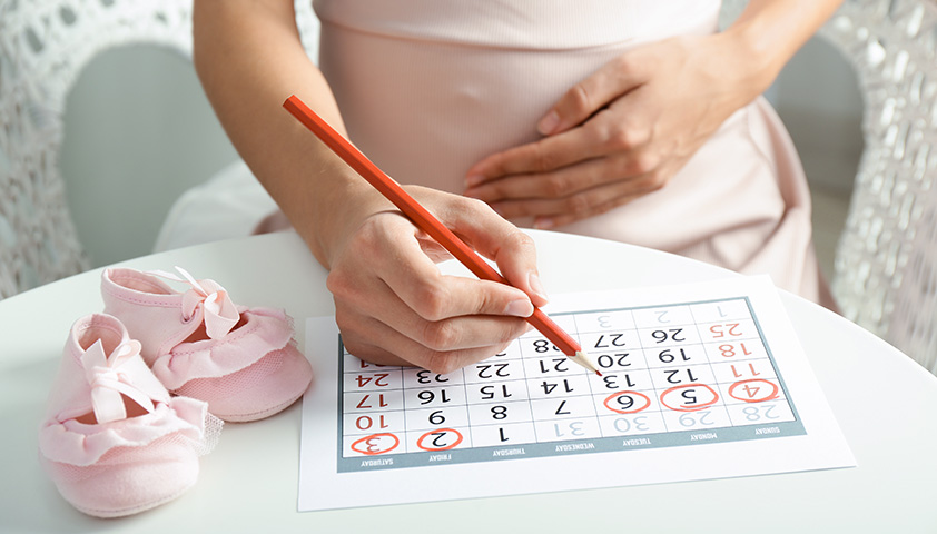Сколько недель длится беременность - норма и отклонение