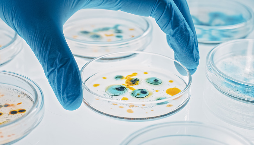 Закат эпохи антибиотиков: почему человечество проигрывает в битве с бактериями