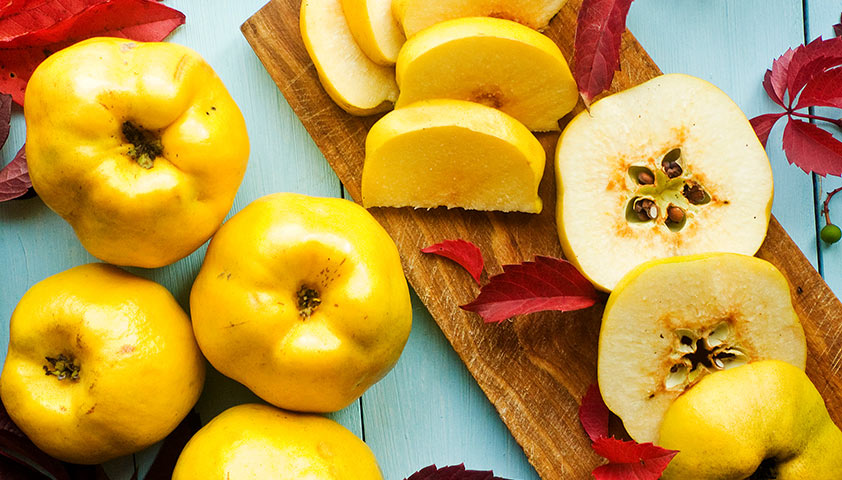 Айва: польза и вред для организма