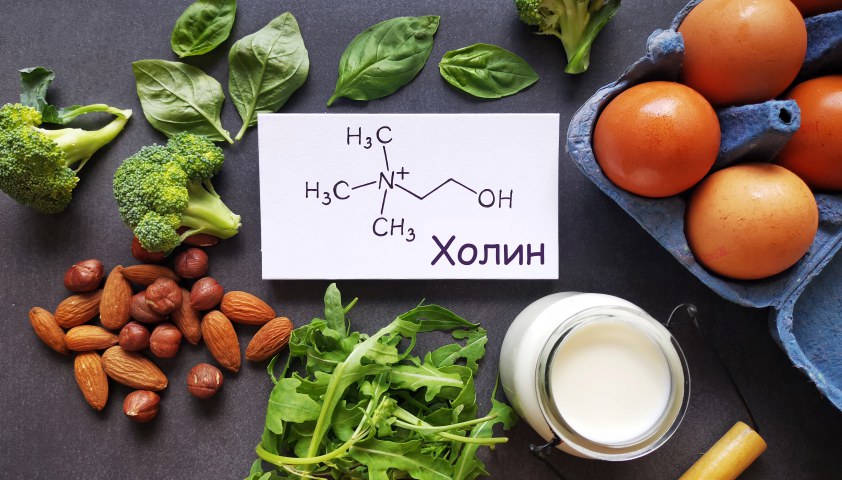 Холин (витамин B4)