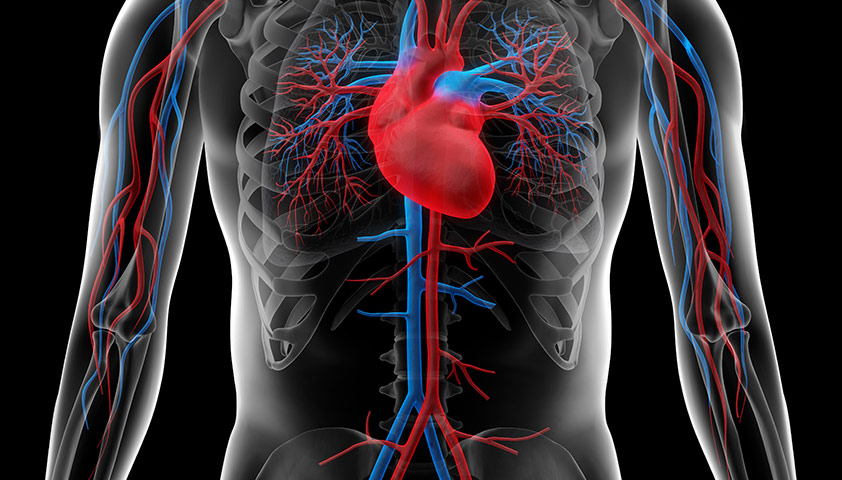 Болезни аорты