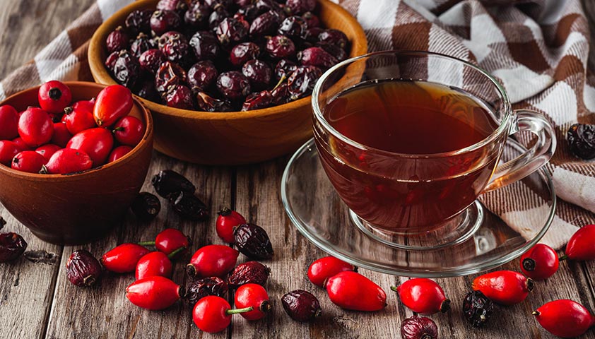 Шиповник: польза и вред для организма