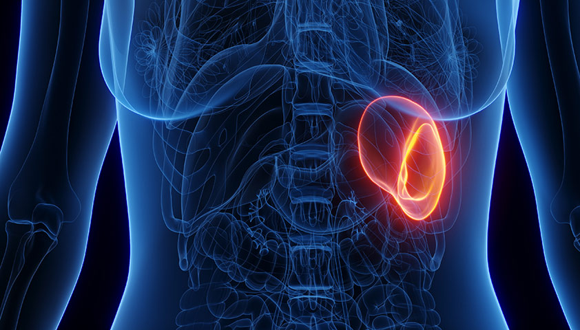 Можно ли жить без селезёнки