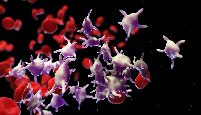 Диета при повышенных тромбоцитах в крови у мужчин после 50 лет
