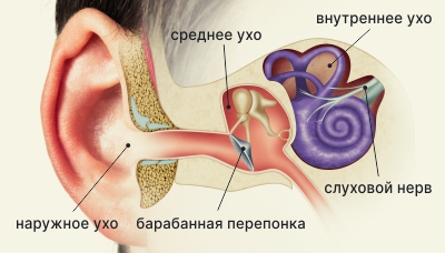 Причины шума в ухе при отите и способы его снятия