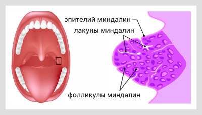 C02             -10 