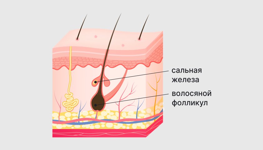 Узнайте, почему у негров черная кожа: научное объяснение