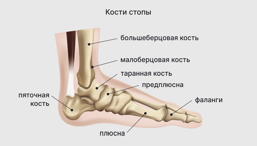 Кости-стопы