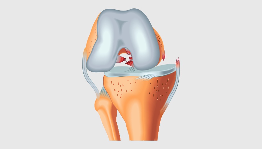        Evolutis Clinic  