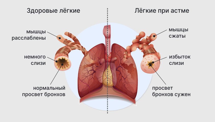 Дышащий почему а: причины и механизмы дышания в организме