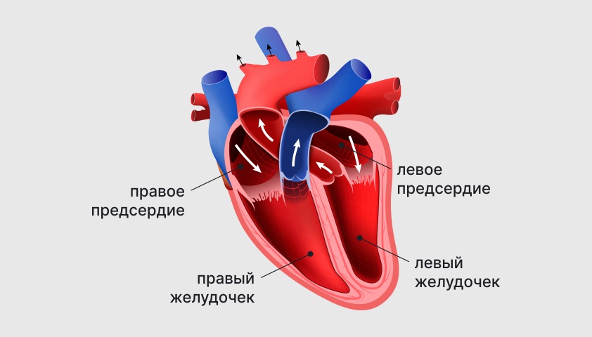      - PsyAndNeuroru