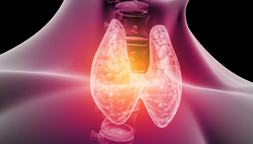 Щитовидной железы - что это, где находится, заболевания
