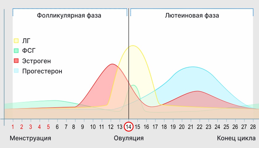 Консистенция выделений