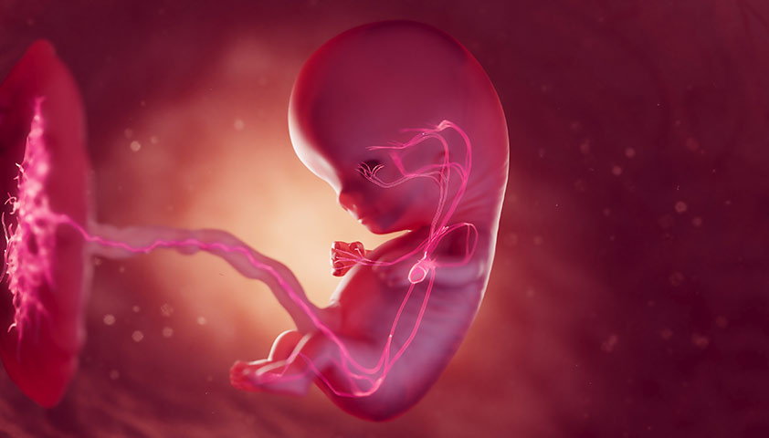 Токсикоз при беременности на ранних сроках