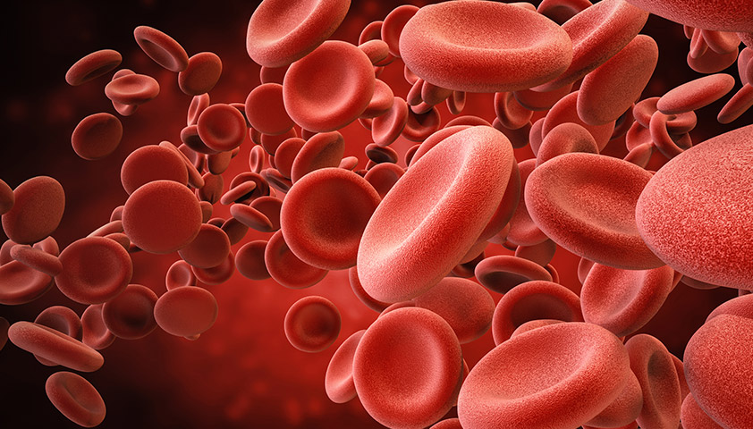 Причины, симптомы и способы повышения низкого гемоглобина — блог медицинского центра ОН Клиник