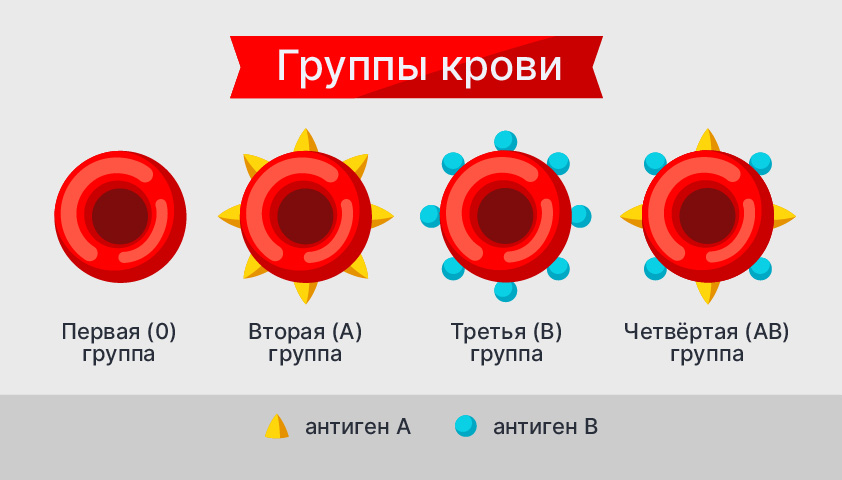 Почему 4 группа крови редкая: особенности и причины