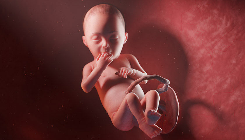 Беременность по неделям: этапы развития ребенка и изменения в организме будущей мамы