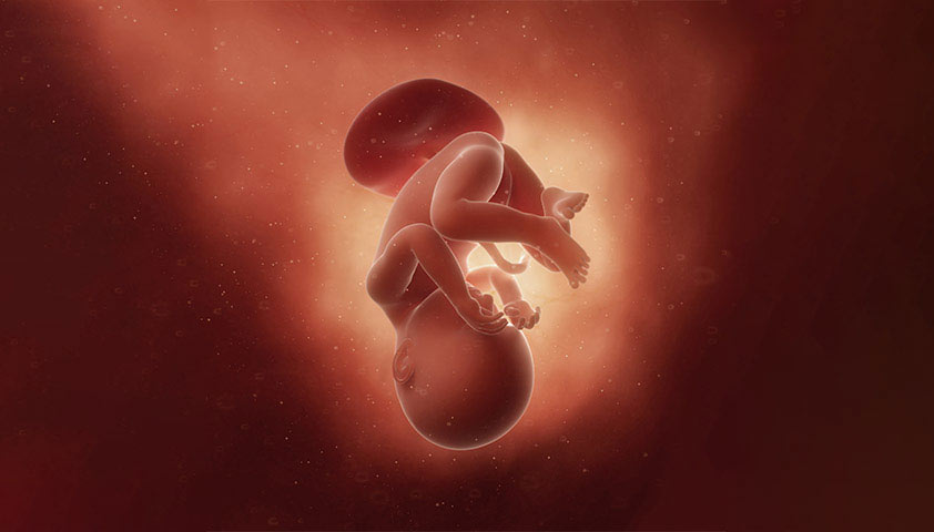 31 неделя беременности от зачатия: УЗИ плода, фото живота, что происходит с мамой и малышом