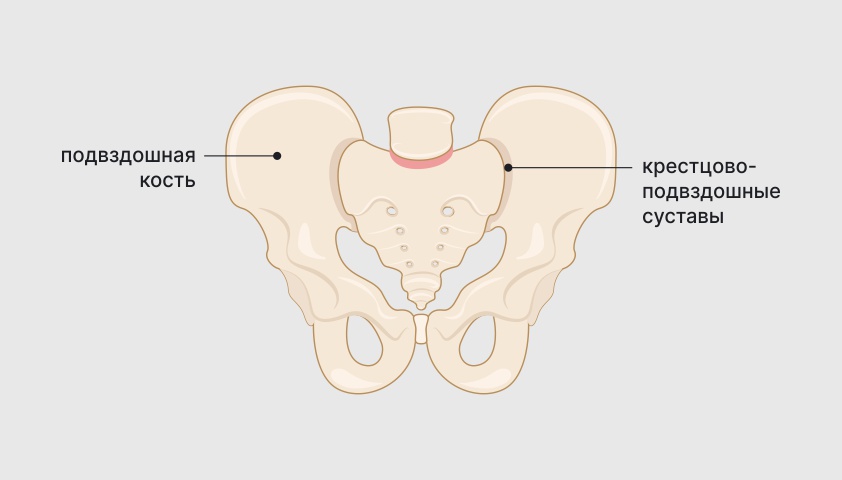 Артроз крестцово подвздошных сочленений симптомы
