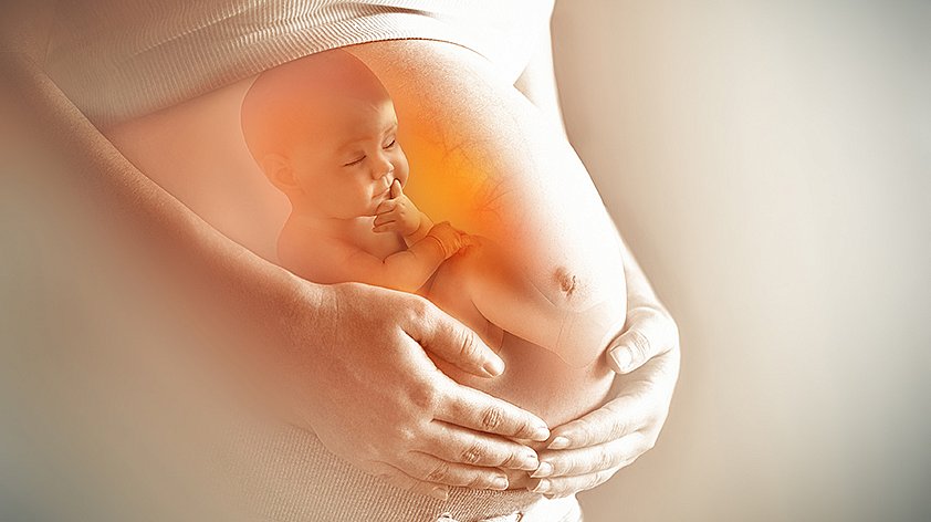 Роды при многоплодной беременности — бесплатно по полису ОМС