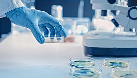 Антибиотикочувствительность и нормофлора