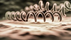 Лечение сифилиса