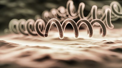 Лечение сифилиса