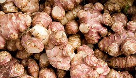 Топинамбур: польза и вред для организма