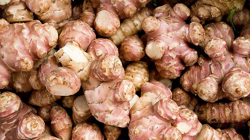 Топинамбур: польза и вред для организма