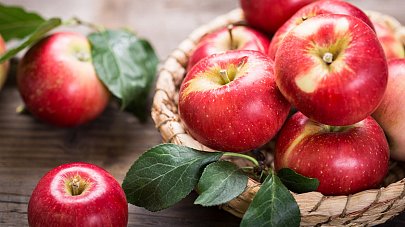 Яблоки: польза и вред для организма