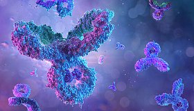 Иммуноглобулин