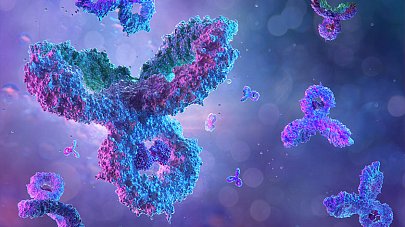 Иммуноглобулин