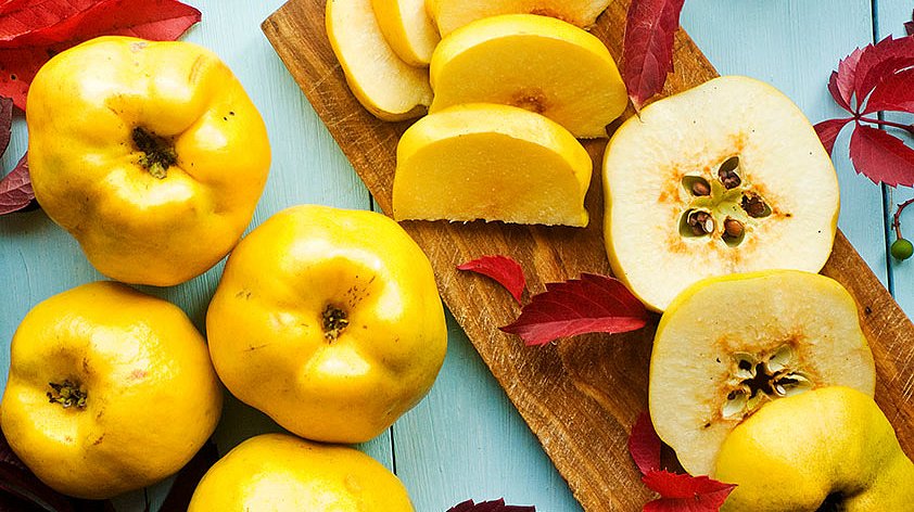 Айва: польза и вред для организма