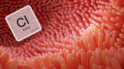 Хлор в организме человека