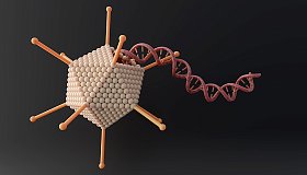 Аденовирус