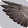 Гемотест, Смесь перьев птиц: гуся, курицы, утки, индейки IgE (EX71, ImmunoCAP)