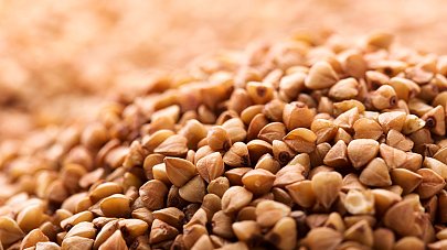 Гречка: польза и вред для здоровья