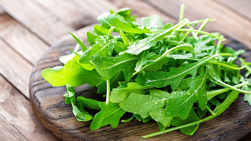 Рукола: польза и вред для организма